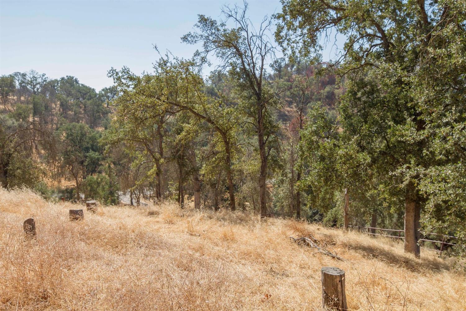 35343 Hopewell Road Squaw Valley, CA 93675 - Photo 44 of 74 Gallery Image 44