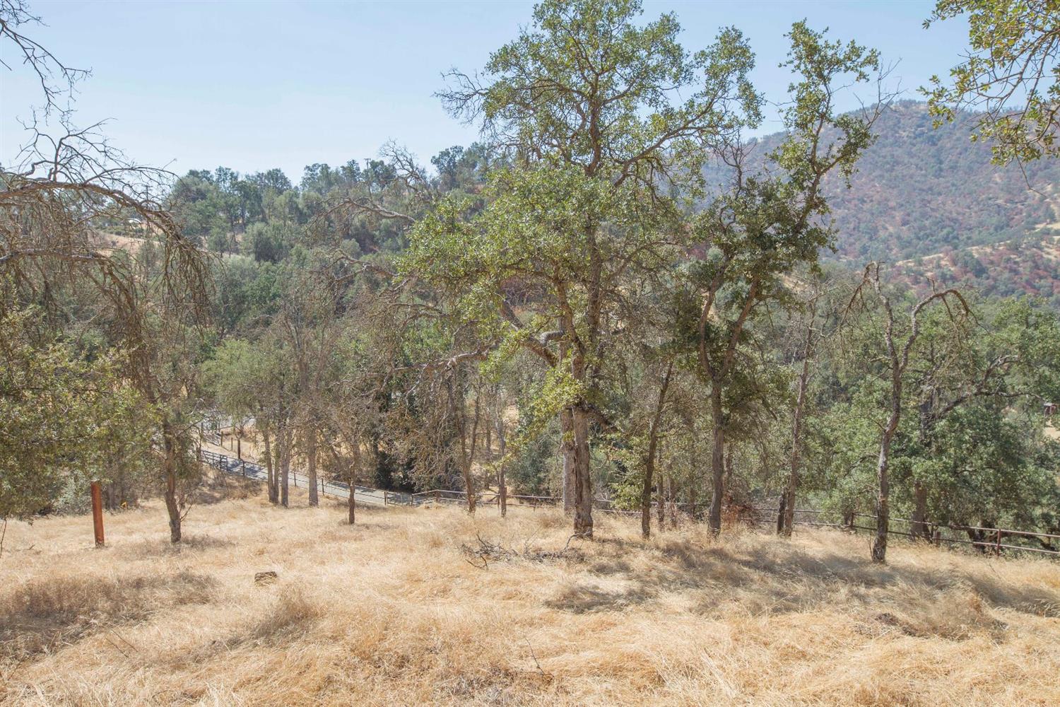 35343 Hopewell Road Squaw Valley, CA 93675 - Photo 50 of 74 Gallery Image 50