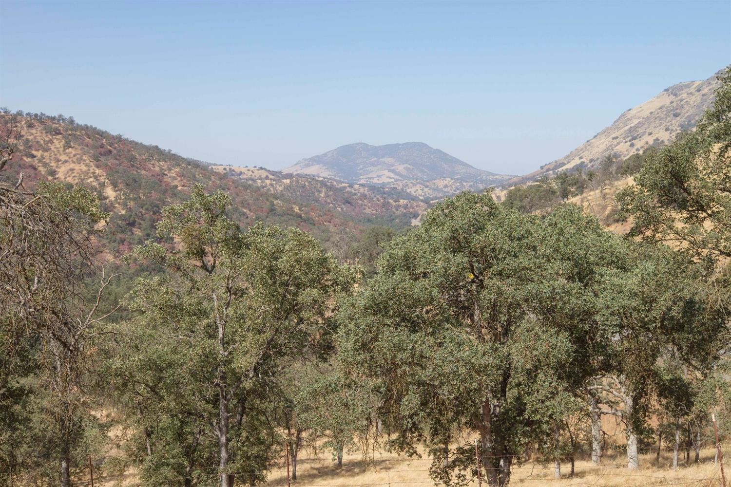 35343 Hopewell Road Squaw Valley, CA 93675 - Photo 54 of 74 Gallery Image 54