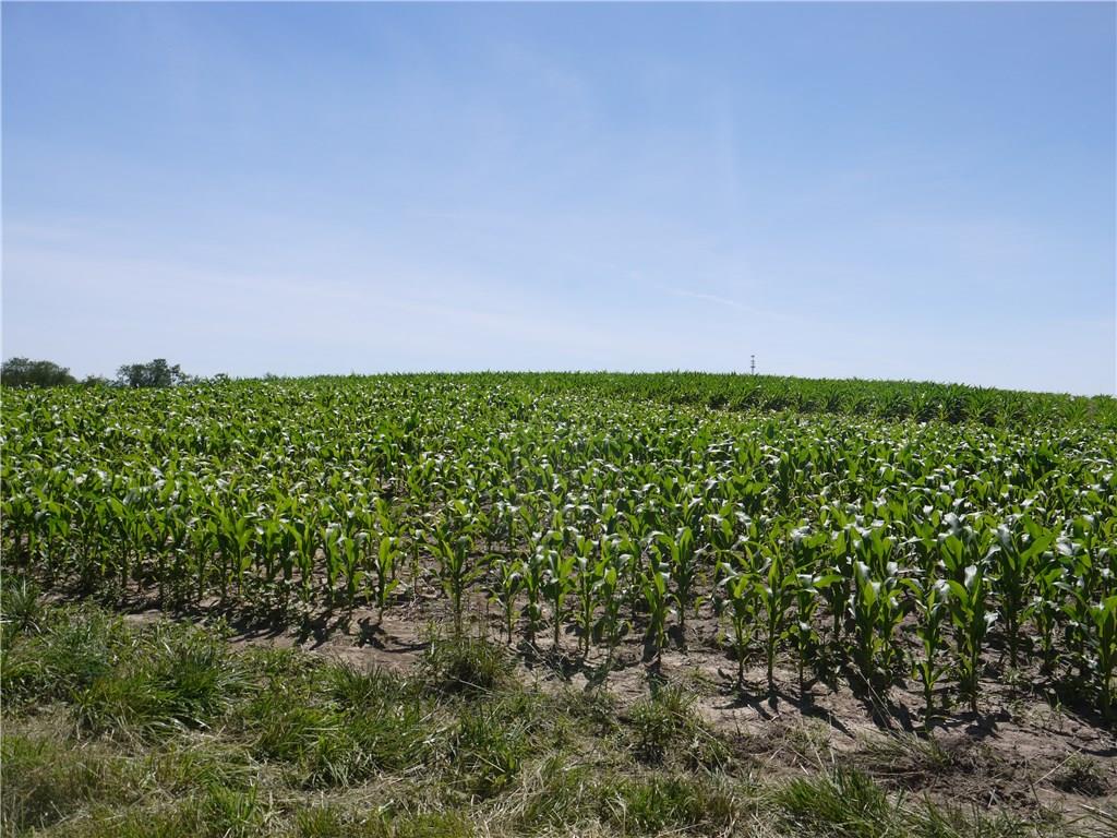 Lot 13 Forrest Hill Road Industry, PA 15052 - Photo 8 of 8 SUMMER VIEW WITH CROPS
