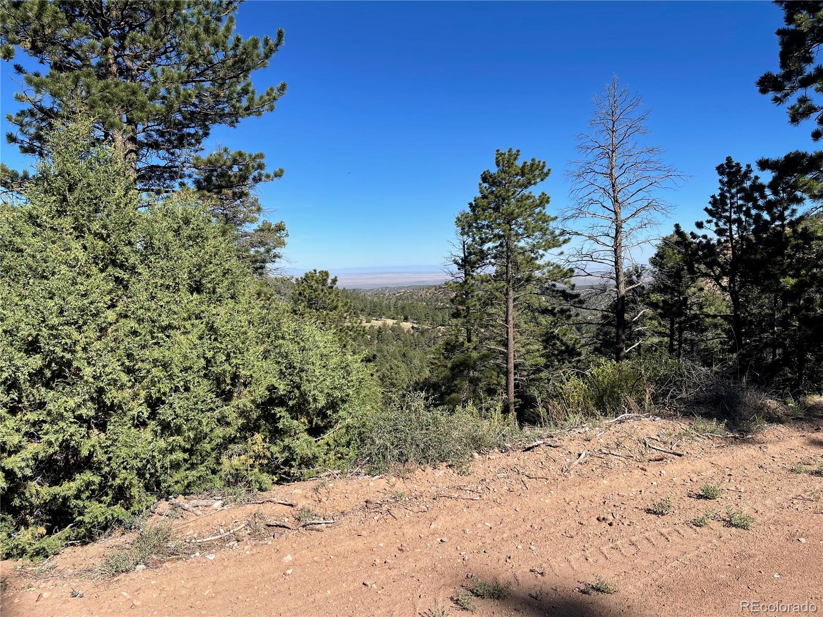 6168 Hoadley Road San Luis, CO 81152 - Photo 10 of 18