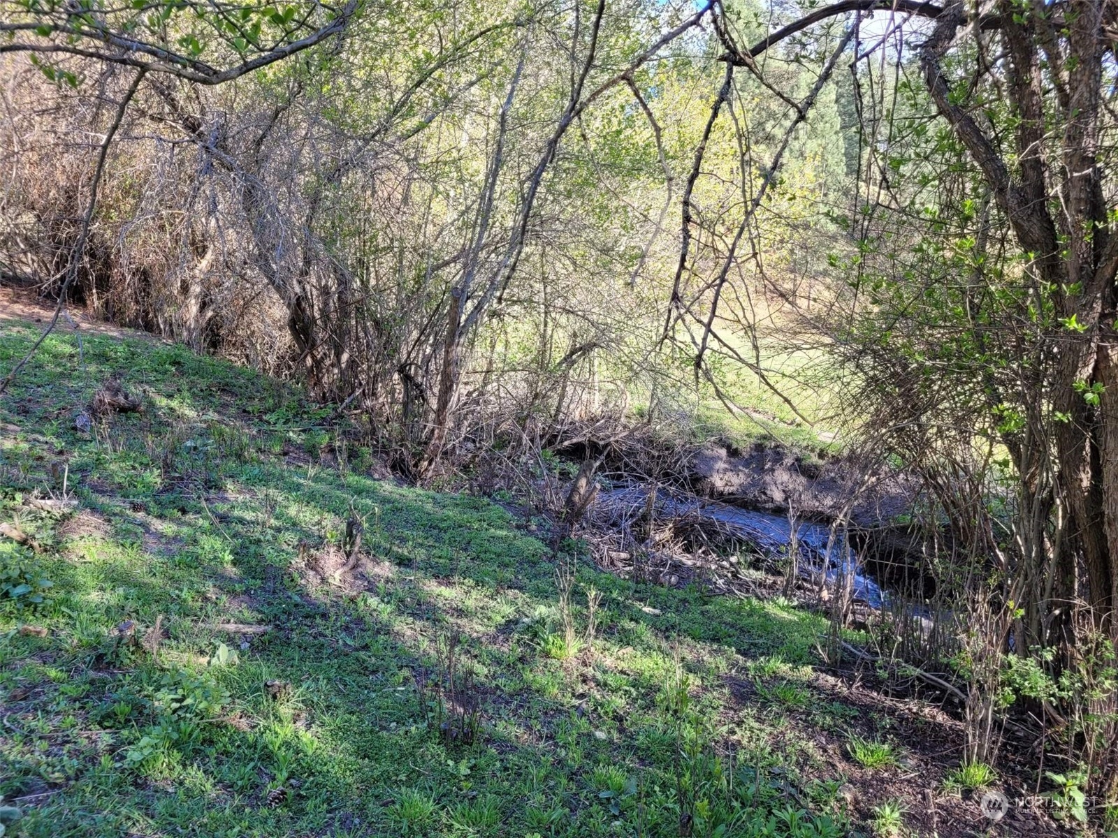 2 Tonasket Creek Road Curlew, WA 99118 - Photo 13 of 23 Gallery Image 13