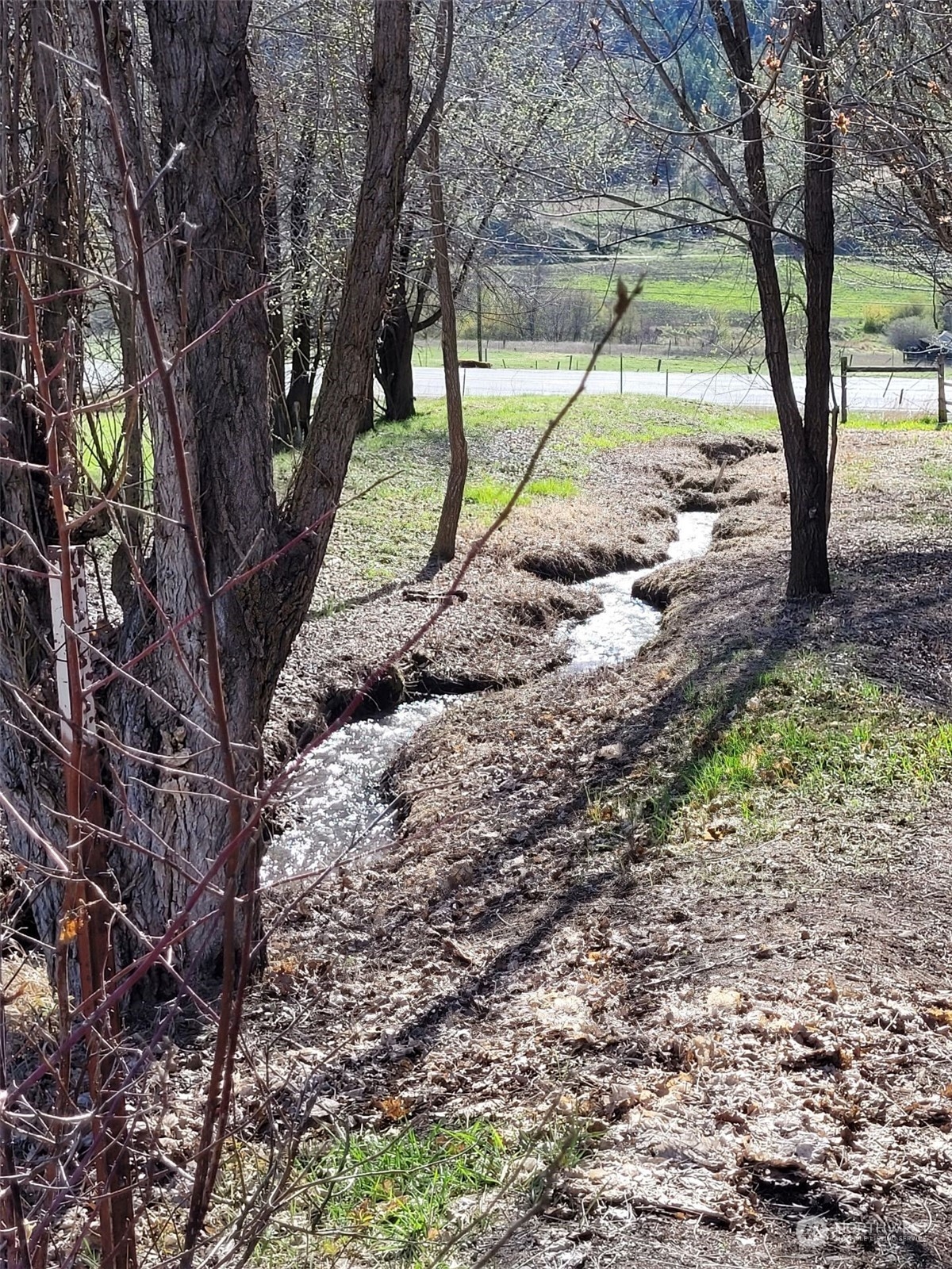 2 Tonasket Creek Road Curlew, WA 99118 - Photo 14 of 23 Gallery Image 14
