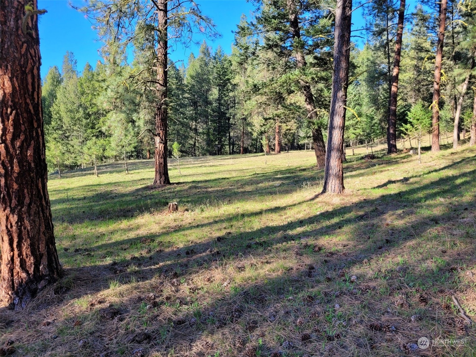 2 Tonasket Creek Road Curlew, WA 99118 - Photo 17 of 23 Gallery Image 17
