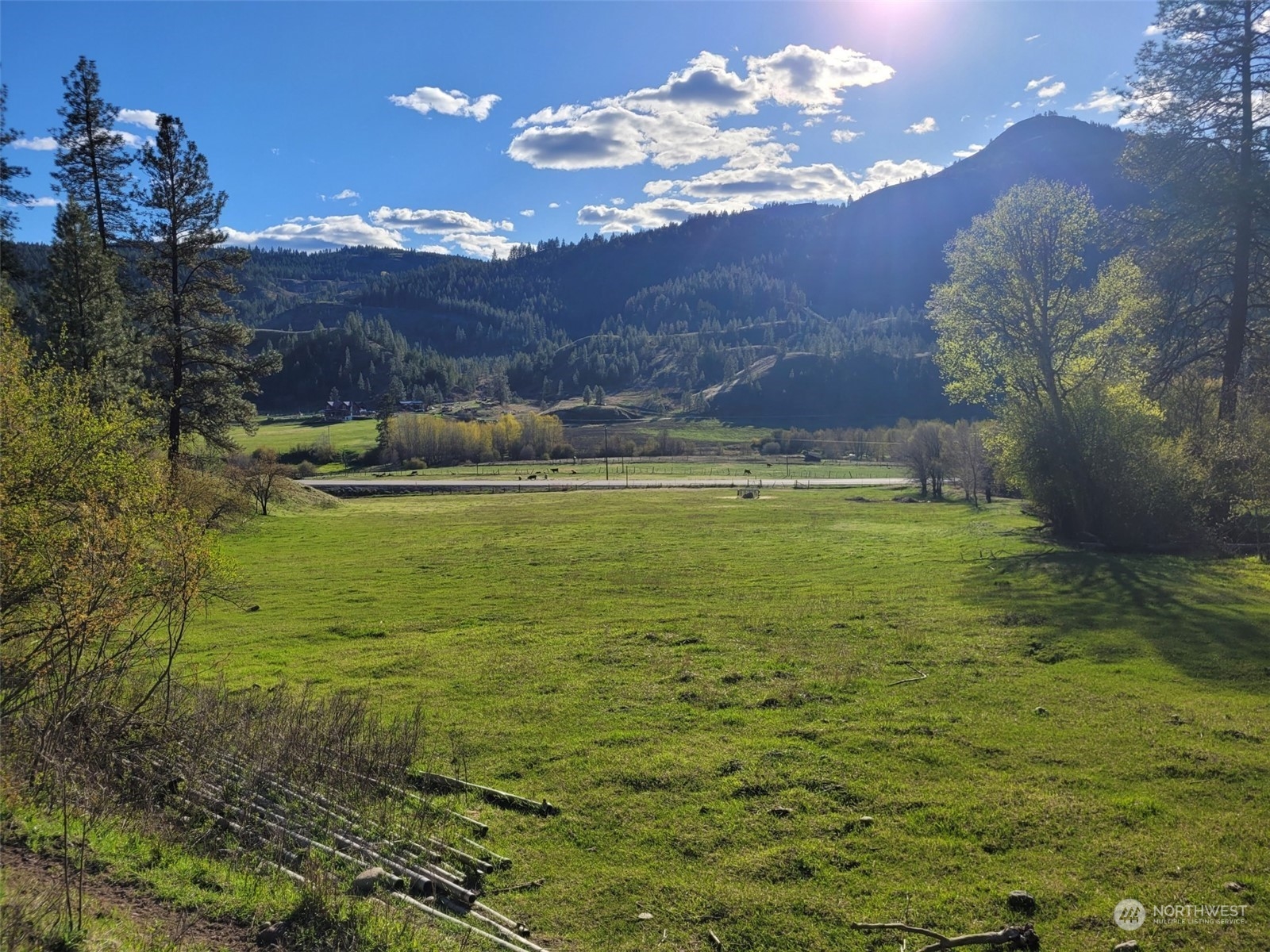2 Tonasket Creek Road Curlew, WA 99118 - Photo 18 of 23 Gallery Image 18