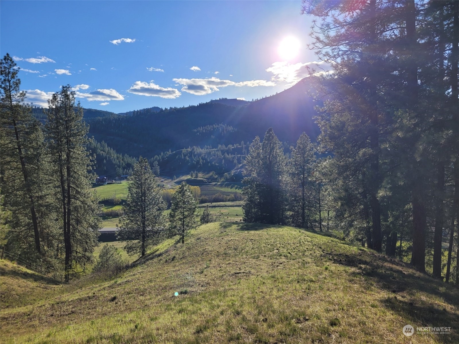 2 Tonasket Creek Road Curlew, WA 99118 - Photo 19 of 23 Gallery Image 19