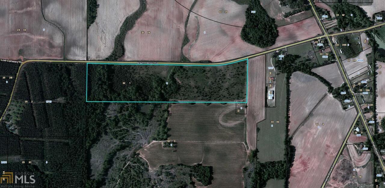 0 Mt Vernon Road Vienna, GA 31092 - Photo 1 of 1 Gallery Image 1