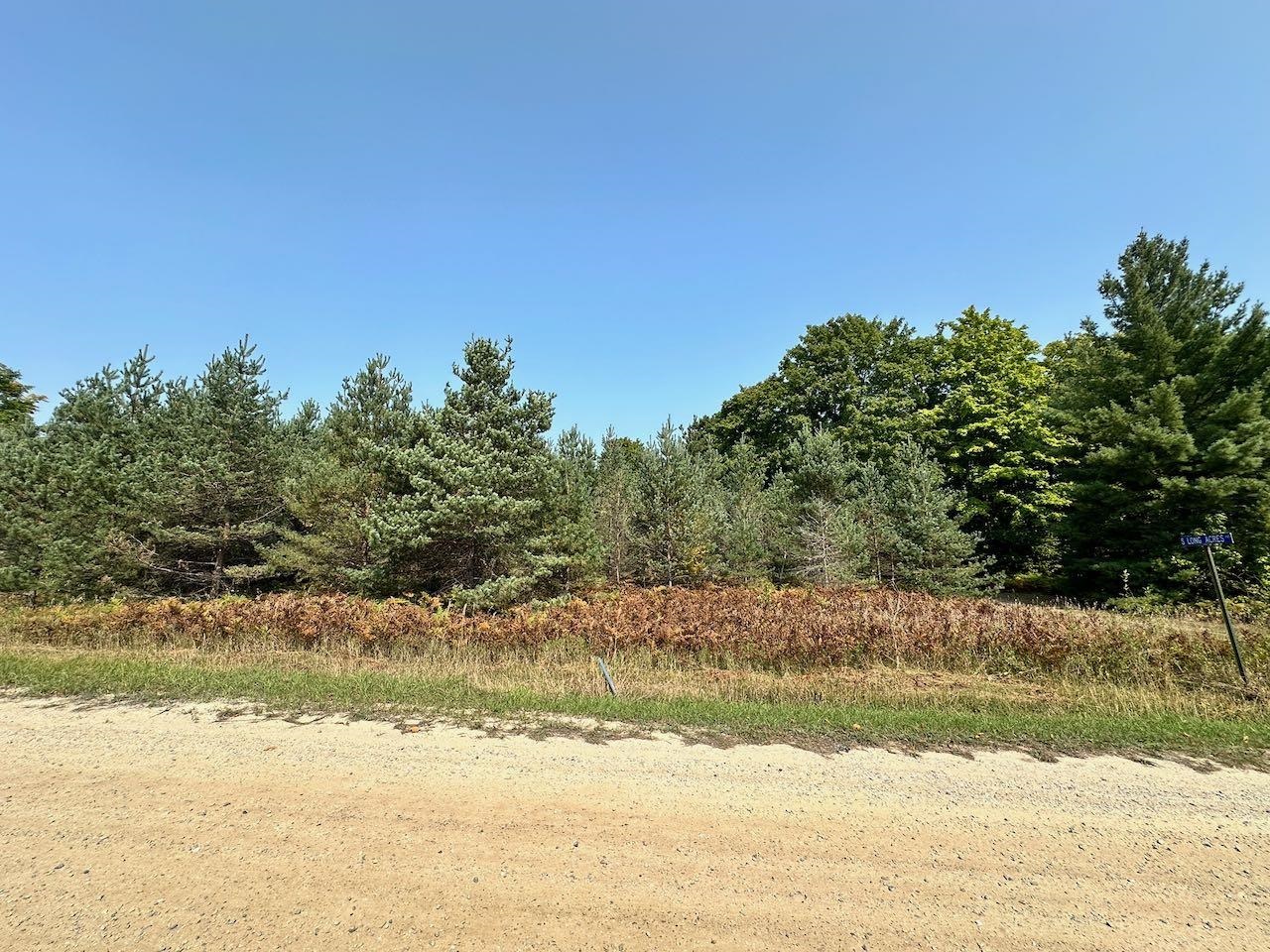 2519 Lee Derrer Road Mancelona, MI 49659 - Photo 38 of 42 Gallery Image 38
