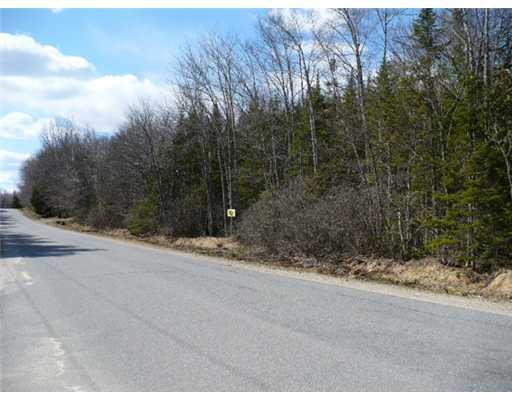 295 Harris Road Searsport, ME 04974 - Photo 5 of 5 Land.