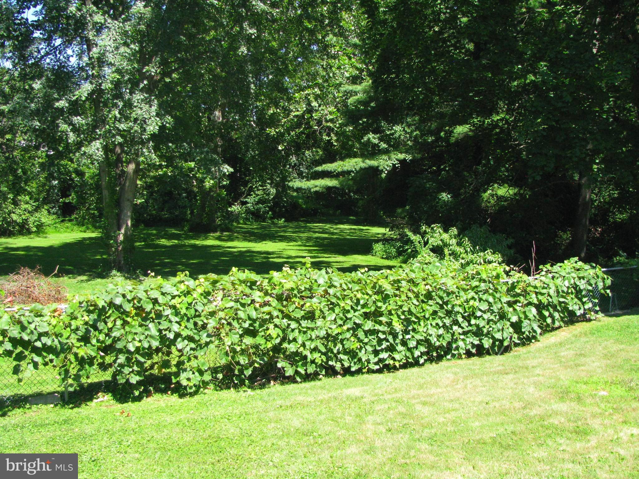 2803 Duncan Road Wilmington, DE 19808 - Photo 26 of 26 Picture Perfect Scenic Rear Yard