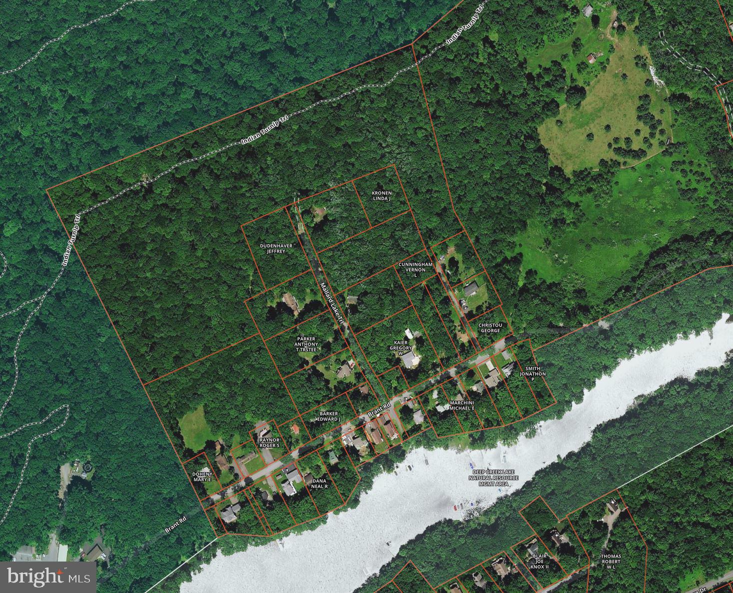 16+/- ACRES, lake access & borders DCL State Park