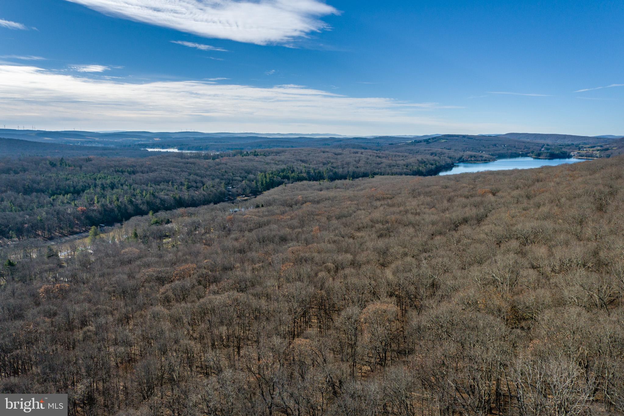 Brant Road Swanton, MD 21561 - Photo 6 of 8 Gallery Image 6