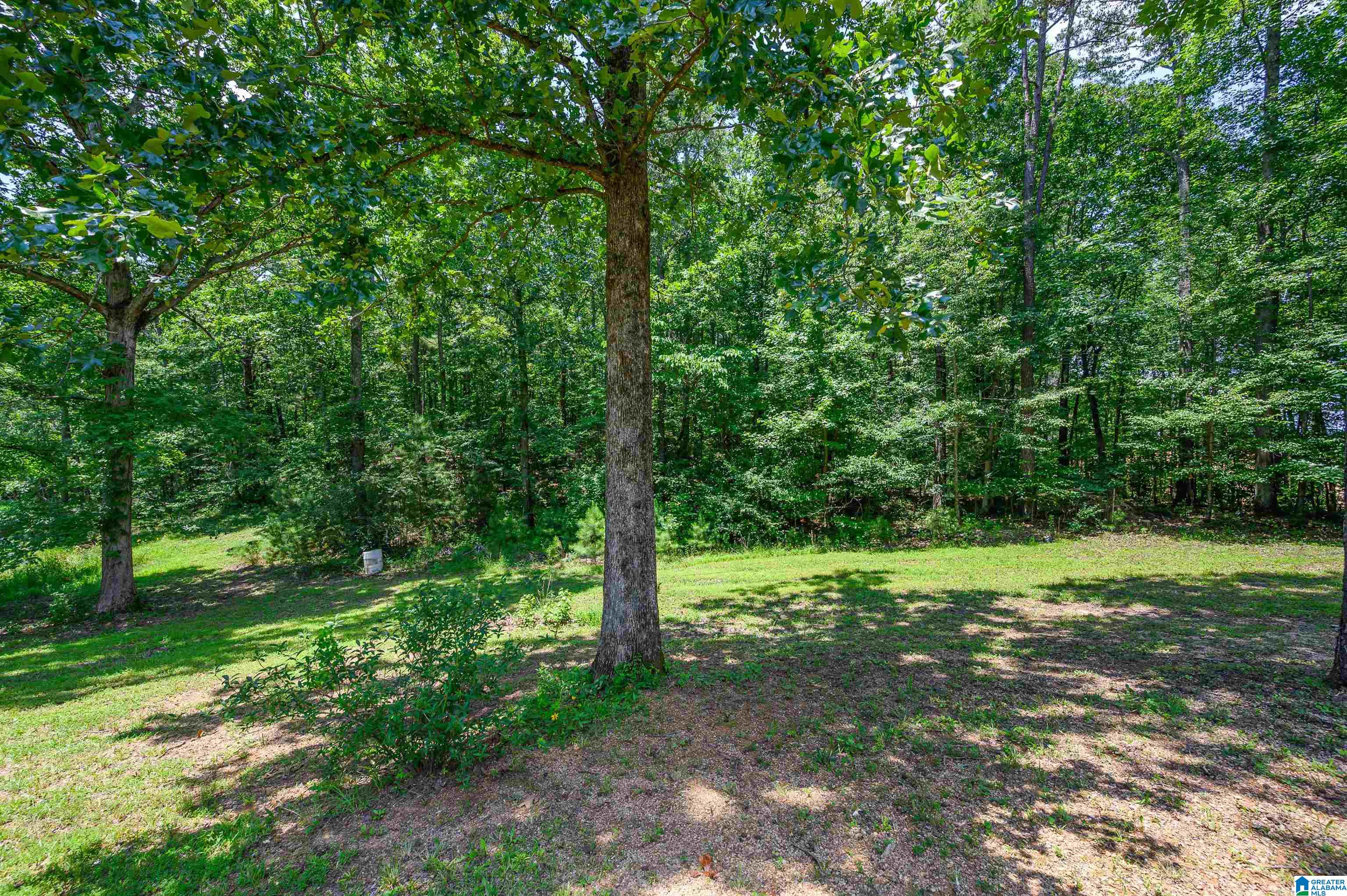 3019 Canterbury Road Moody, AL 35004 - Photo 55 of 68