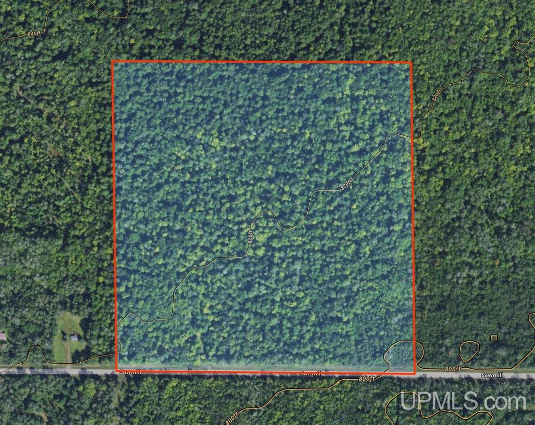 Tbd Sawmill Road Skanee, MI 49962 - Photo 17 of 19 Gallery Image 17