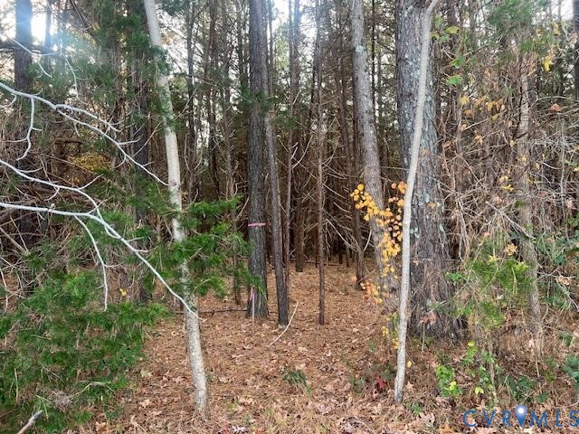 0 Craig Mill Road South Hill, VA 23970 - Photo 2 of 6 a view of a forest