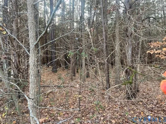 a backyard of a house