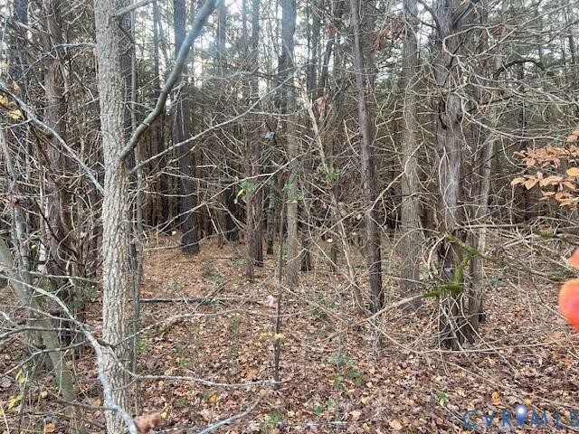 0 Craig Mill Road South Hill, VA 23970 - Photo 3 of 6 a backyard of a house with lots of tall trees