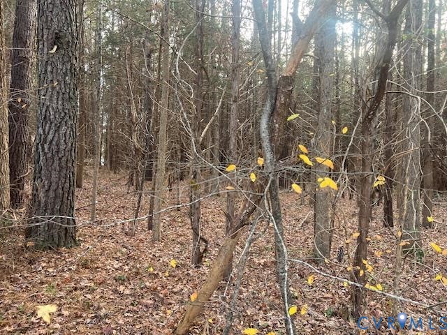 0 Craig Mill Road South Hill, VA 23970 - Photo 4 of 6 a backyard of a house