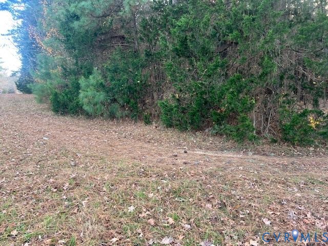 0 Craig Mill Road South Hill, VA 23970 - Photo 5 of 6 a view of a field with trees in background