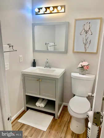 a bathroom with a toilet a sink and mirror