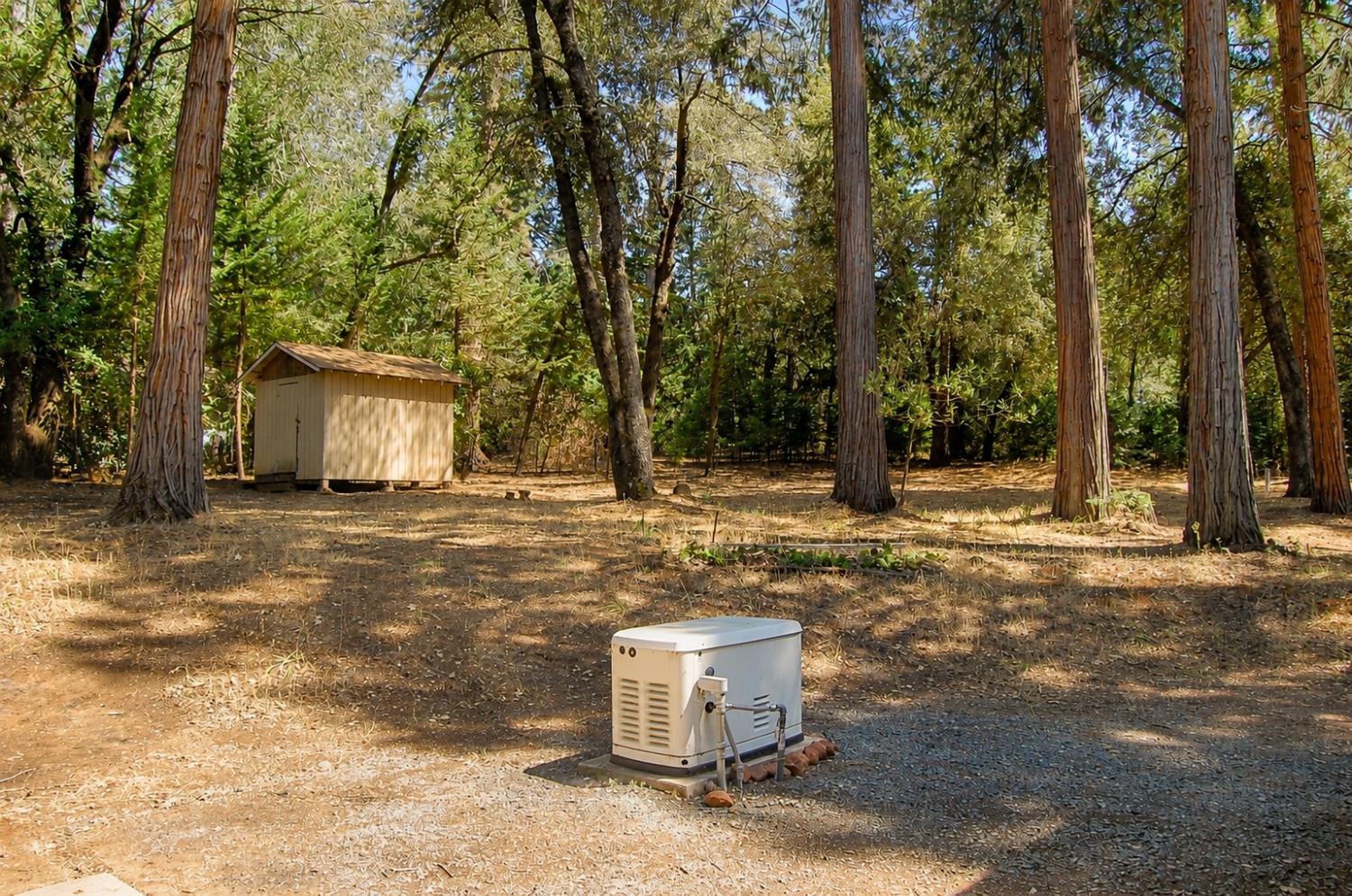 20131 Shake Ridge Road Volcano, CA 95689 - Photo 76 of 93 Gallery Image 76