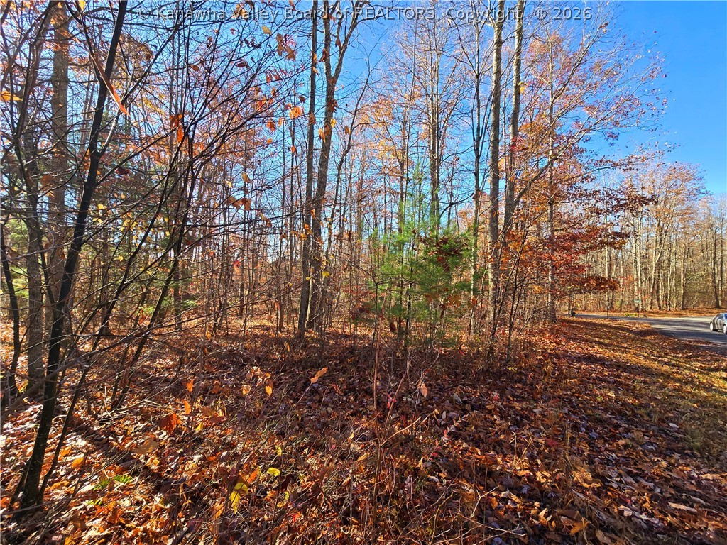 Gallery Image 7