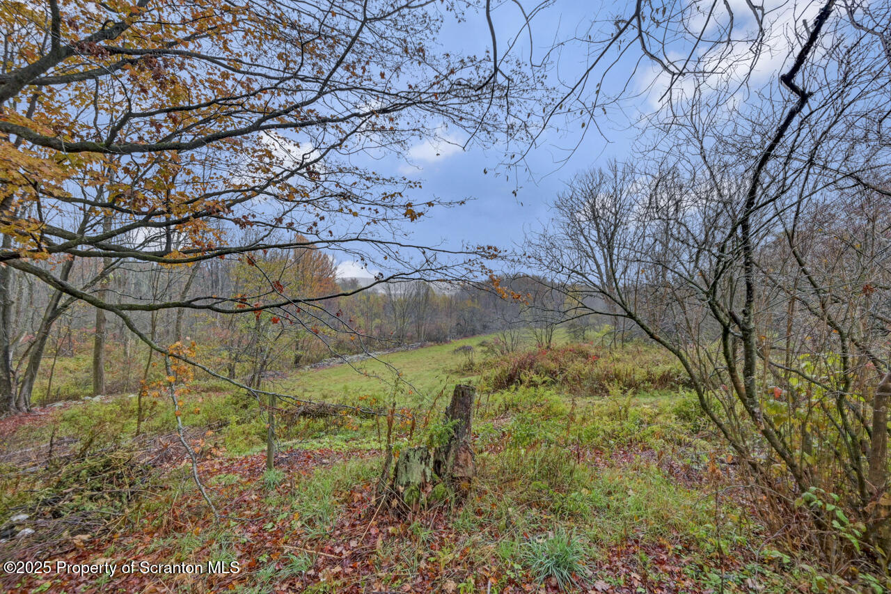 11 Mizianty Lane Waymart, PA 18472 - Photo 11 of 84 11MiziantyLn100.jpg.jpg