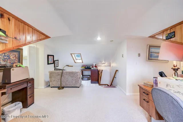 a living room with furniture a rug and a potted plant