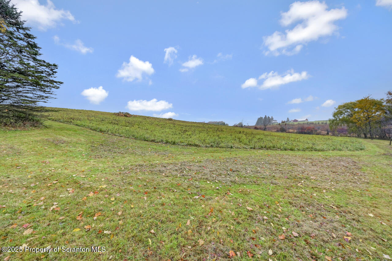 11 Mizianty Lane Waymart, PA 18472 - Photo 8 of 84 a view of a lake from a yard