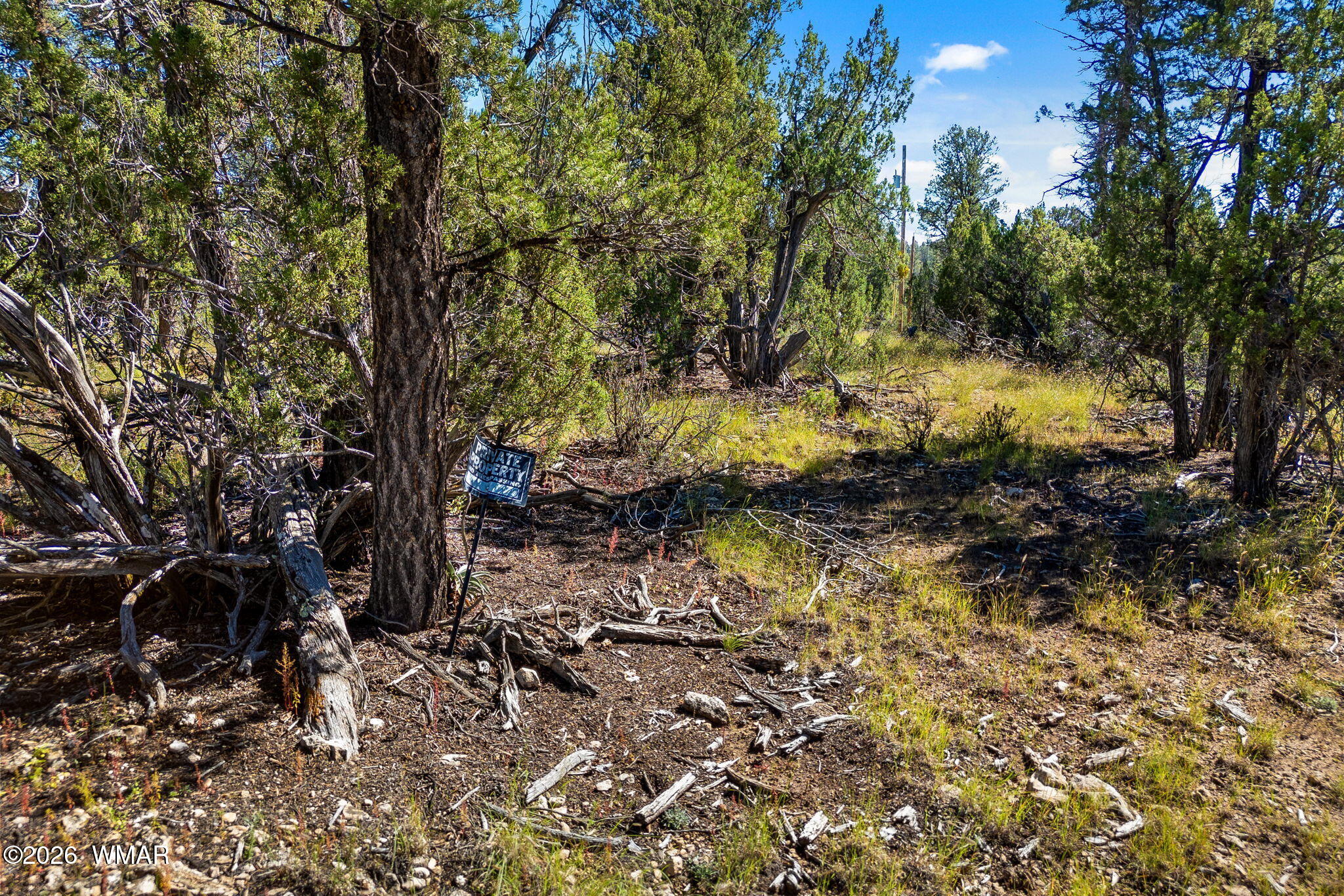1948 Elk Road Heber, AZ 85928 - Photo 2 of 18 Gallery Image 2