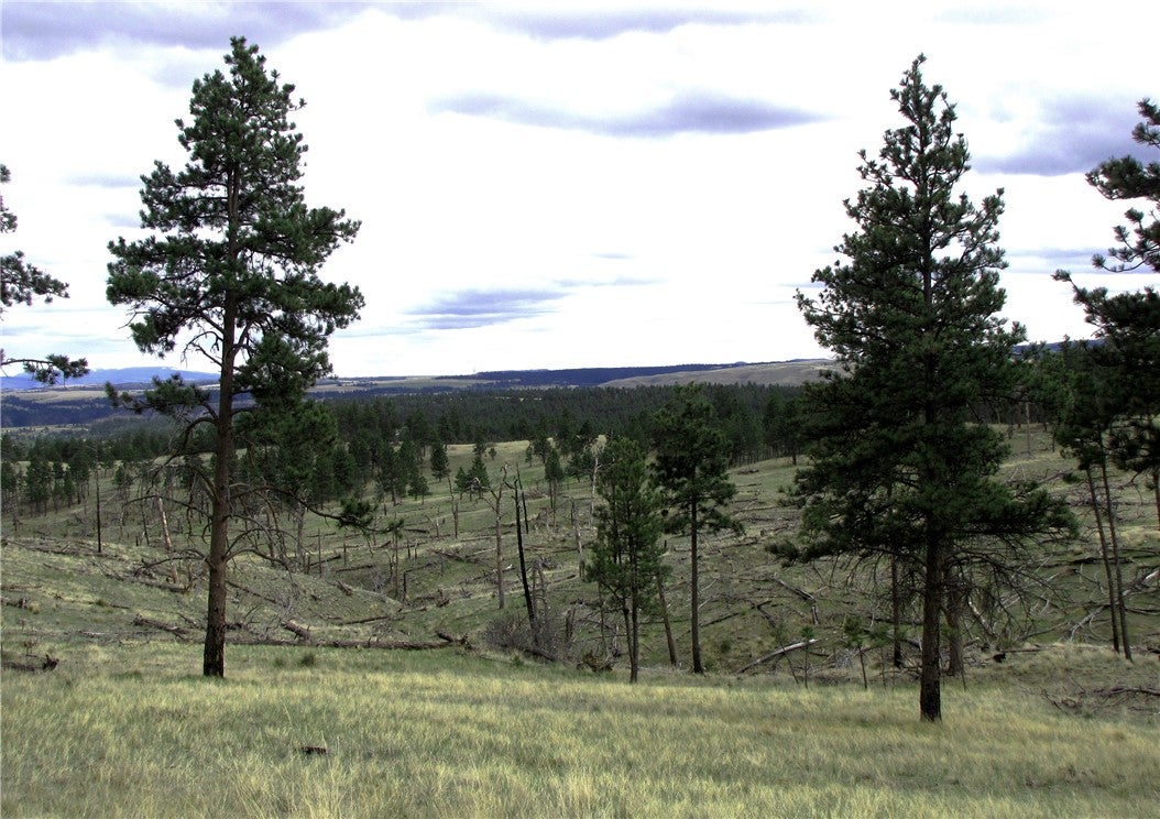 Nhn Nhn Wild Turkey Ridge Road Columbus, MT 59019 - Photo 14 of 47 Gallery Image 14