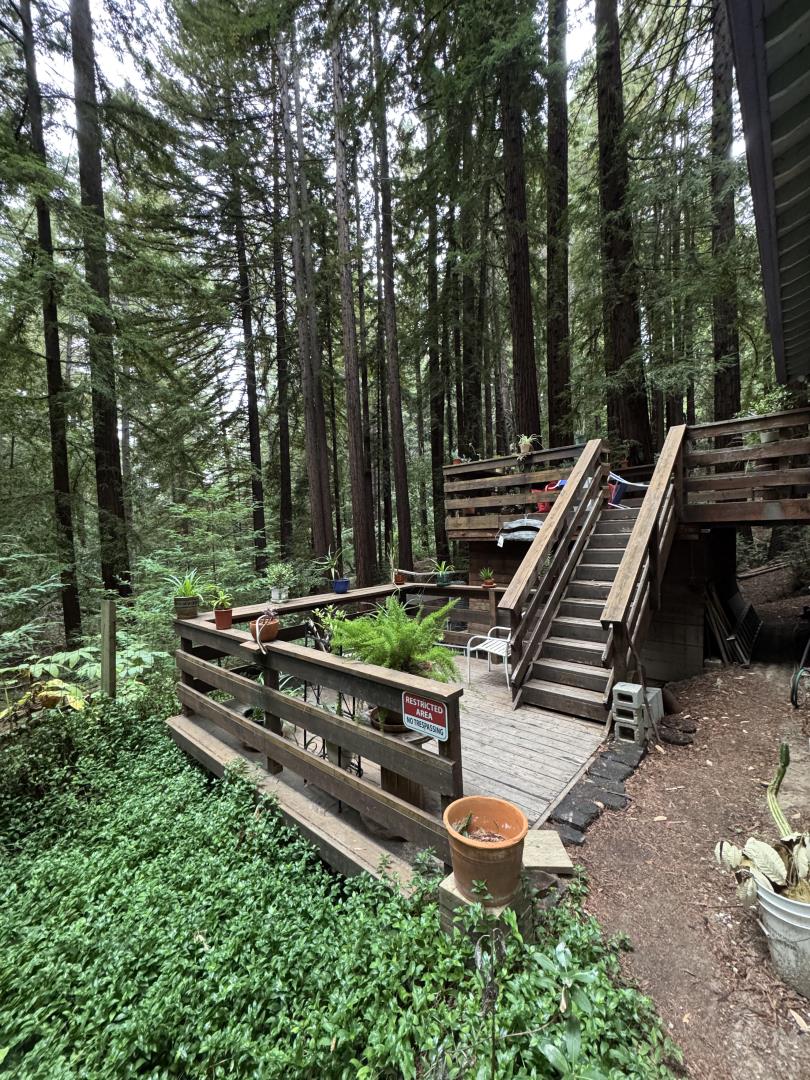 700 Laurel View Road Los Gatos, CA 95033 - Photo 5 of 21 a view of a park with wooden stairs