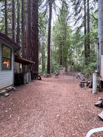 a view of backyard with green space