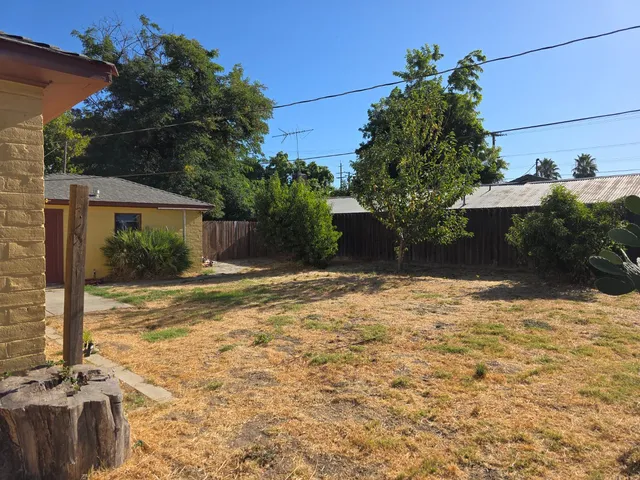 a view of a yard with plants and trees
