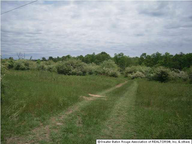 Tbd B Cutrer Road Kentwood, LA 70444 - Photo 11 of 21 Gallery Image 11