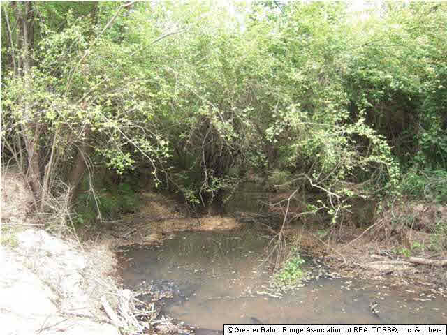 Tbd B Cutrer Road Kentwood, LA 70444 - Photo 13 of 21 Gallery Image 13