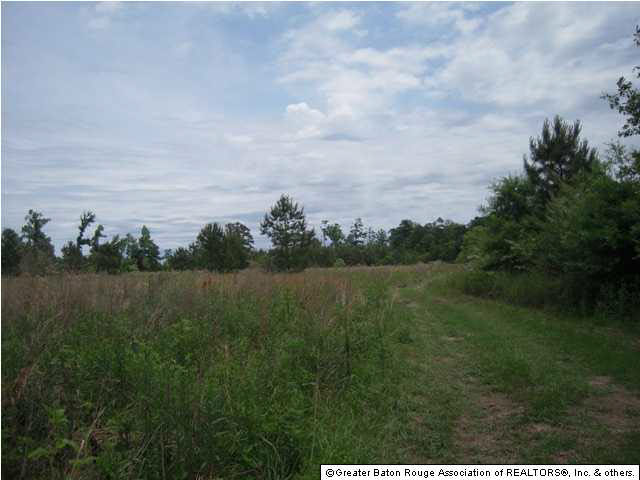 Tbd B Cutrer Road Kentwood, LA 70444 - Photo 15 of 21 Gallery Image 15