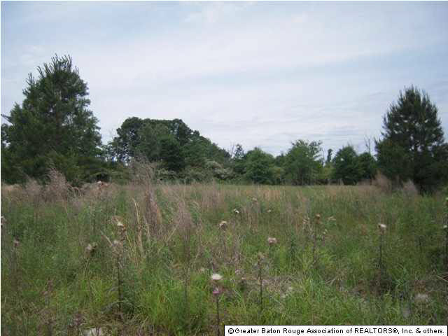 Tbd B Cutrer Road Kentwood, LA 70444 - Photo 16 of 21 Gallery Image 16