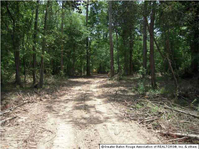 Tbd B Cutrer Road Kentwood, LA 70444 - Photo 17 of 21 Gallery Image 17