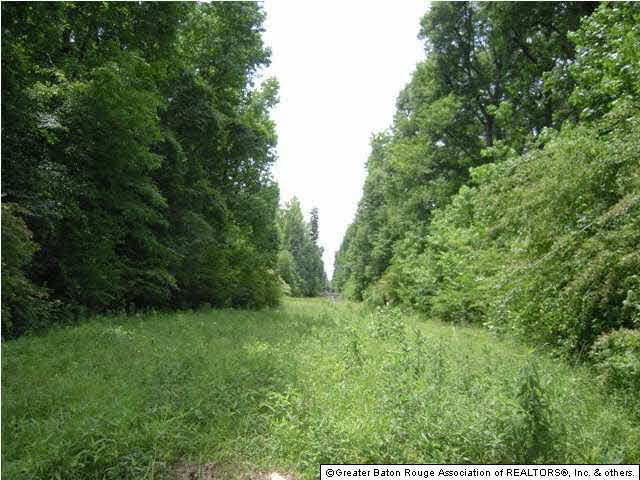 Tbd B Cutrer Road Kentwood, LA 70444 - Photo 20 of 21 Gallery Image 20