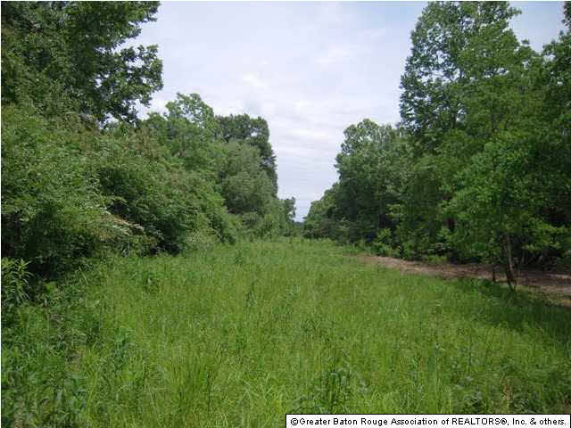Tbd B Cutrer Road Kentwood, LA 70444 - Photo 21 of 21 Gallery Image 21