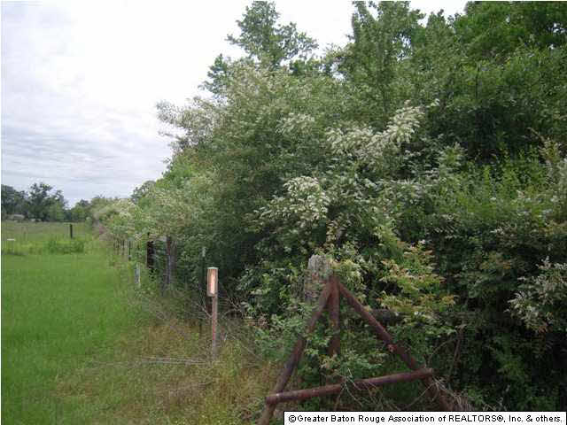 Tbd B Cutrer Road Kentwood, LA 70444 - Photo 3 of 21 Gallery Image 3