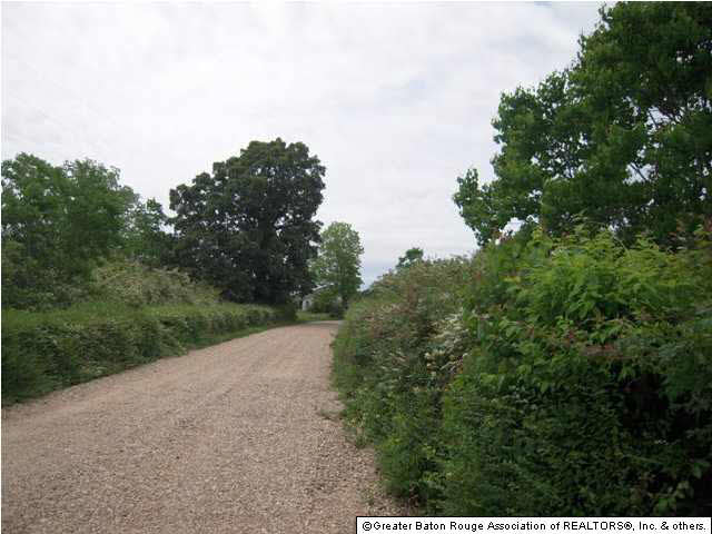 Tbd B Cutrer Road Kentwood, LA 70444 - Photo 4 of 21 Gallery Image 4