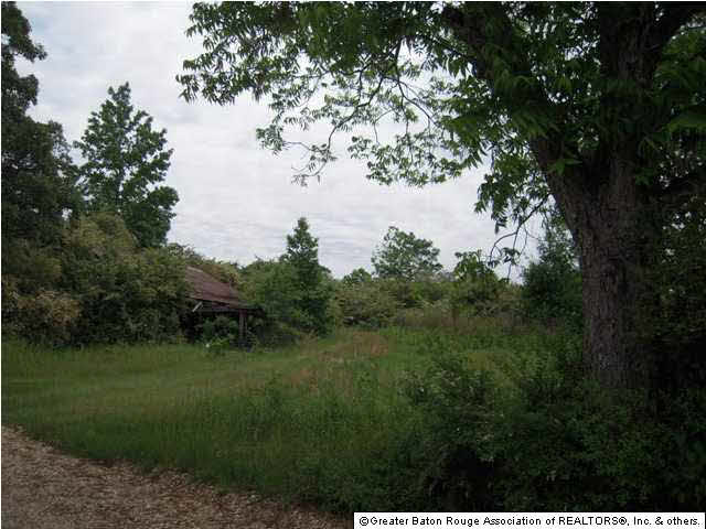 Tbd B Cutrer Road Kentwood, LA 70444 - Photo 7 of 21 Gallery Image 7
