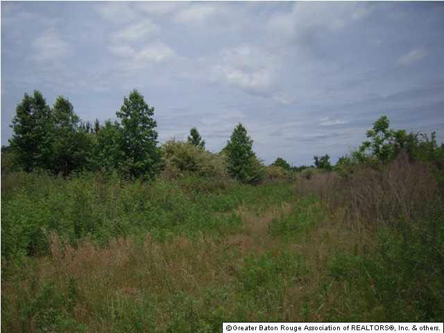 Tbd B Cutrer Road Kentwood, LA 70444 - Photo 10 of 21 Gallery Image 10