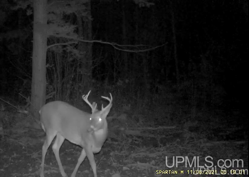Tbd Old Rink Road Toivola, MI 49965 - Photo 9 of 31 Gallery Image 9