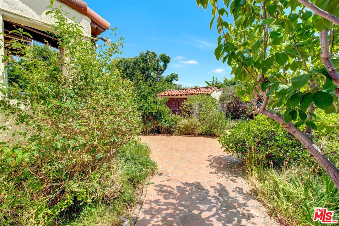 6220 Warner Drive Los Angeles, CA 90048 - Photo 40 of 44 a view of a yard with plants and large trees