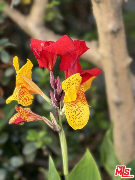 6220 Warner Drive Los Angeles, CA 90048 - Photo 44 of 44