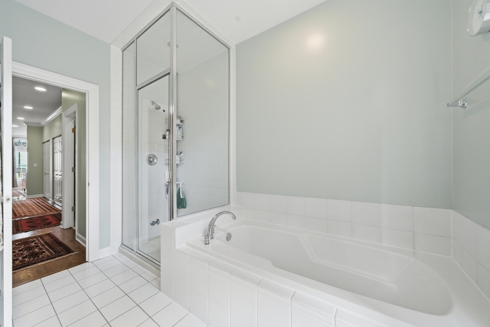 367 West Superior Street, Unit B Chicago, IL 60654 - Photo 21 of 33