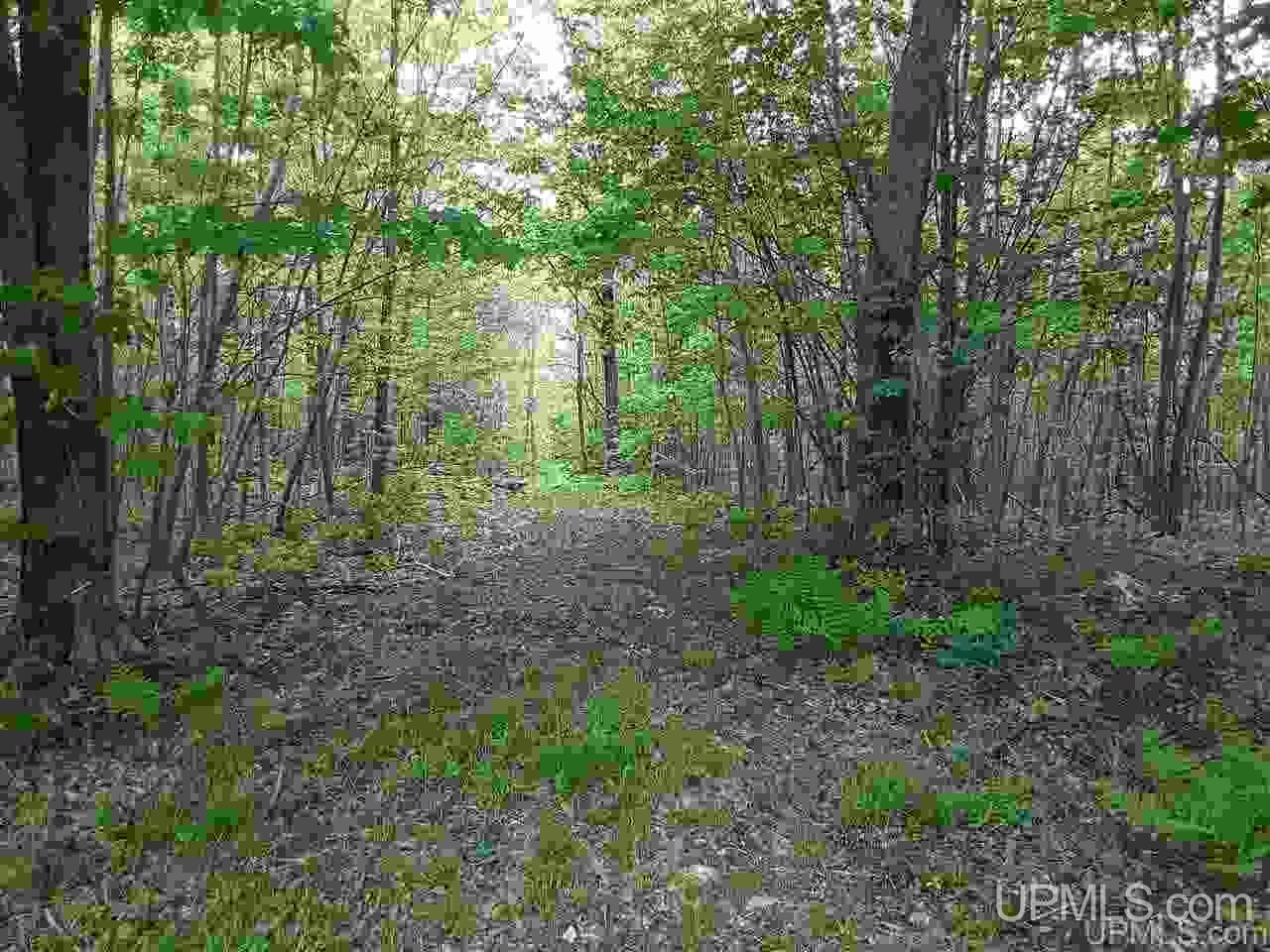 14901 North Lake Head Road Saxon, WI 54559 - Photo 17 of 18